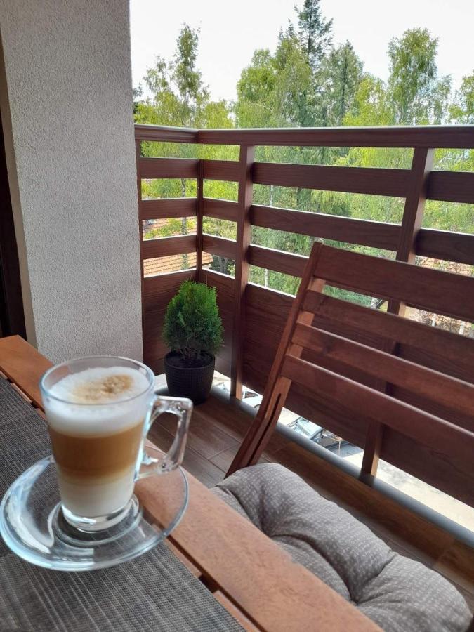 Apartman Stefanovic Vila Darija Lux Zlatibor Exterior photo